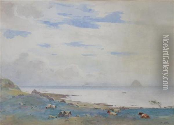 Cattle Grazing With The Bass Rock In The Distance Oil Painting - Robert Little