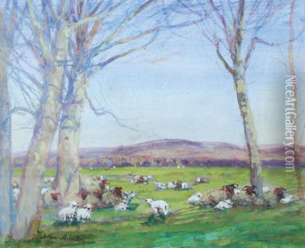 Sheep Resting Oil Painting - Arthur Melville