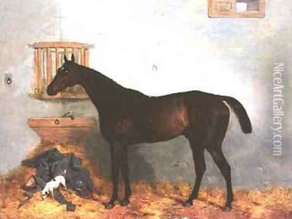 Thoroughbred in a Stable Oil Painting - Harry Hall