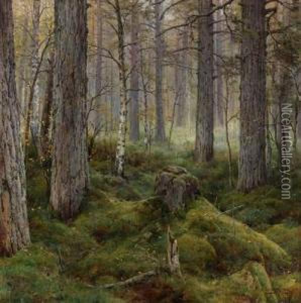 Birch Forest Oil Painting - Ivan Avgustovich Vel'ts