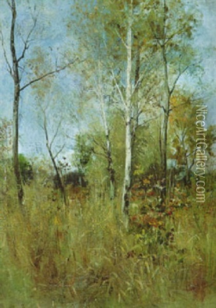 Fruhherbstliche Landschaft Mit Birken Und Buschwerk Oil Painting - Arthur Langhammer