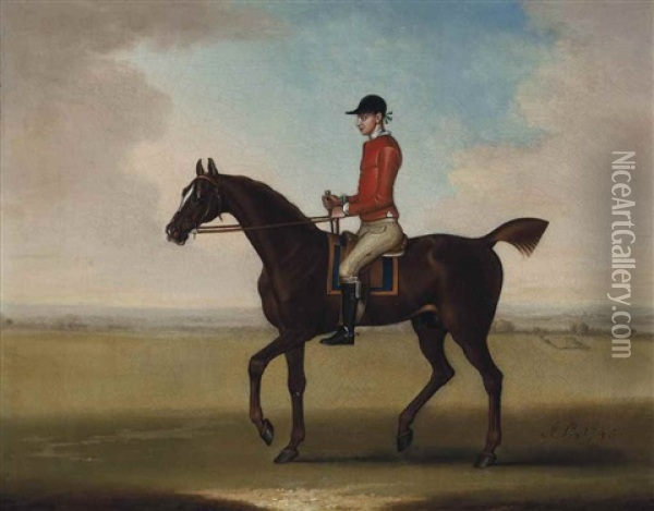 Mr John Martindale's Chestnut Racehorse Sedbury, With Jockey Up Oil Painting - James Seymour