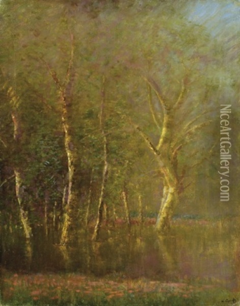 Forest Detail Oil Painting - Laszlo Mednyanszky