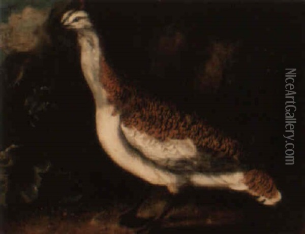 A Great Bustard Oil Painting - Philipp Ferdinand de Hamilton