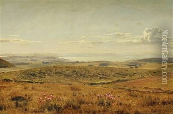 Landskab. Motiv Fra Masnedsund Oil Painting - Hermann Carl Siegumfeldt