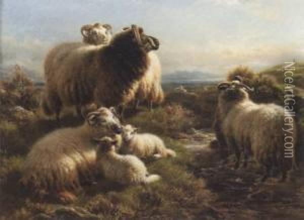 Collecting The Flock-morning Oil Painting - William Watson