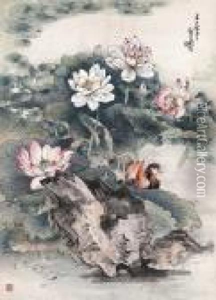 Lotus And Mandarin Ducks Oil Painting - Xiao Sun