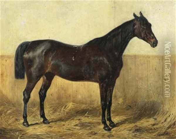 Portrait Eines Pferdes Im Stall Oil Painting - Emil Adam