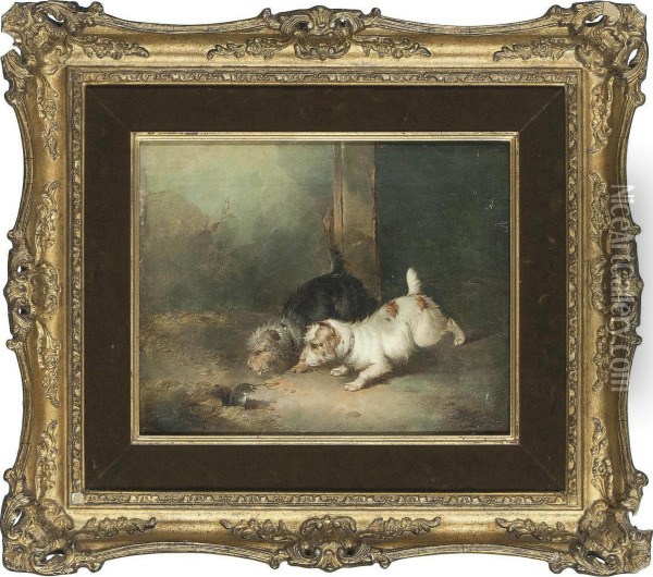 Terriers Ratting Oil Painting - Paul Jones