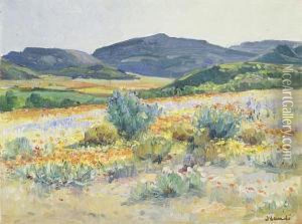 Spring Flowers, Namaqualand Oil Painting - Hugo Pieter Naude