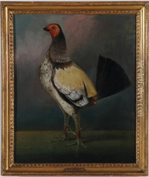 Old English Game Fowl Oil Painting - Benjamin Marshall