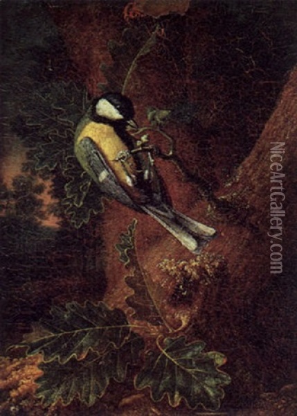 Kohlmeise In Einem Waldesgrund Oil Painting - Johann Adalbert Angermayer