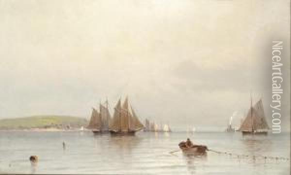 Sailboats In New York Bay Oil Painting - Francis Augustus Silva