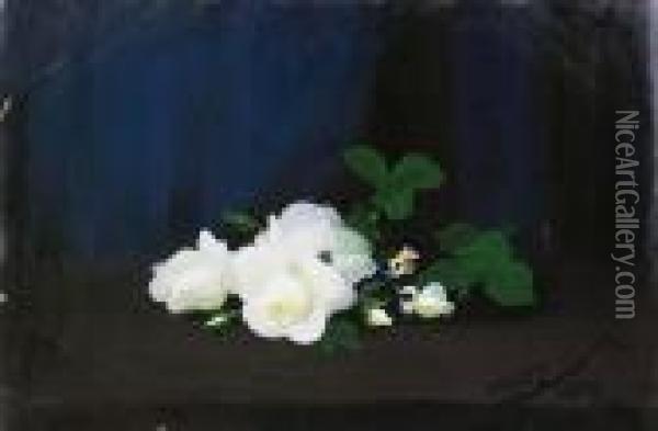 White Roses Oil Painting - James Stuart Park
