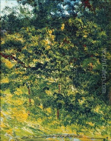 Bosque Oil Painting - Joaquin Clausell