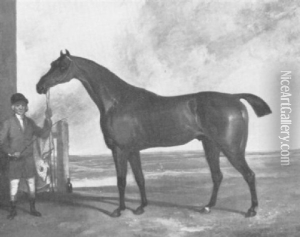 A Bay Hunter Held By A Groom Oil Painting - George Nairn