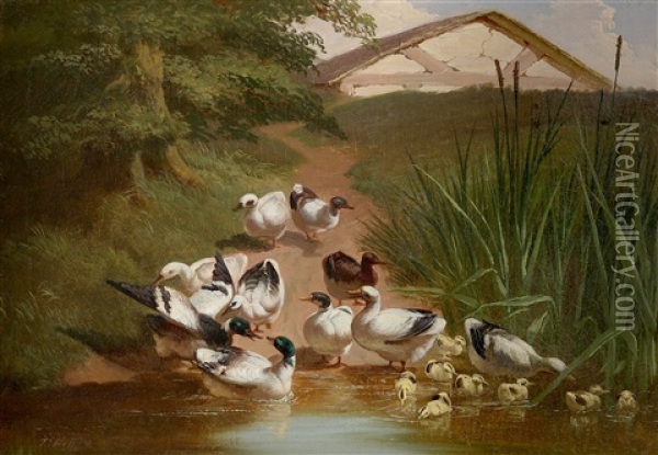 Ducks And Ducklings By A Pond Oil Painting - Thomas Hill