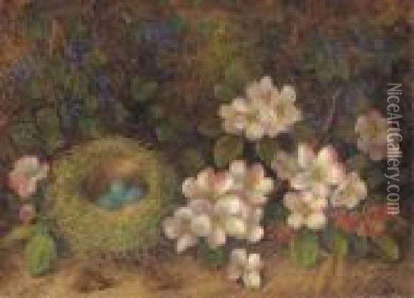 Dog Roses And Violets Surrounding A Bird's Nest With Eggs Oil Painting - George Clare