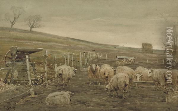 Penned Sheep Oil Painting - Thomas Scott Callowhill