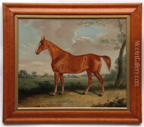 Horse In Landscape Oil Painting - Cornelius Jason Walter Winter
