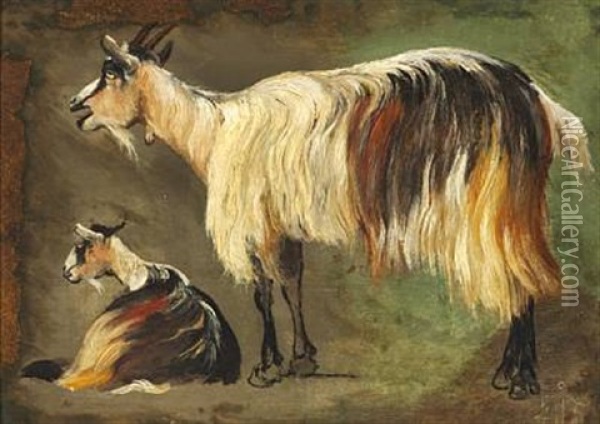 Two Standing And Lying Longhaired Goats. Study Oil Painting - Johan Thomas Lundbye