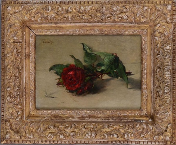 Red Rose Oil Painting - Henri Fantin-Latour