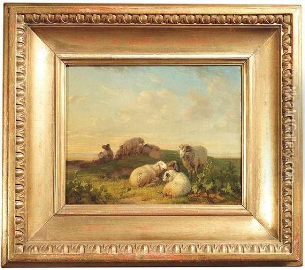 A Flock Of Sheep With The Shepherd By Sunset Light Oil Painting - Robert Eberle