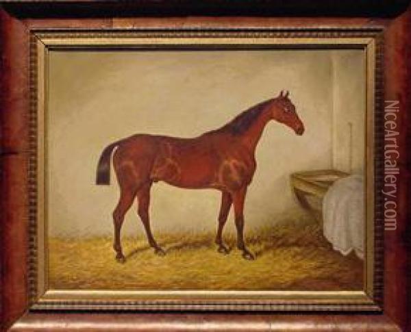 Horse In Stable Oil Painting - J. Duvall