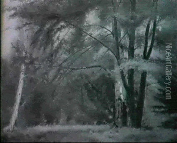 Forest Landscape Oil Painting - William M. Hart