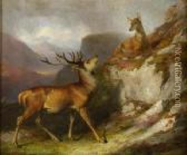 Stag And Hind In A Highland Landscape Oil Painting - James William Giles
