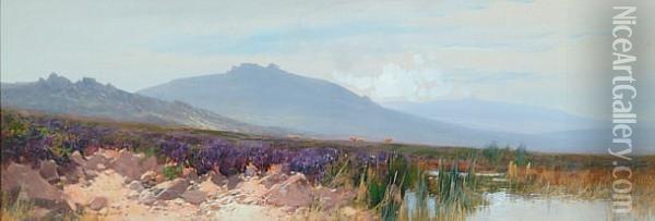 A View Of Dartmoor Tors From A Moorland Pond Oil Painting - Frederick John Widgery