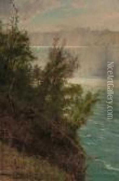 Niagara From The American Side Oil Painting - Albert Bierstadt