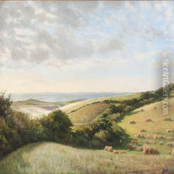 Summer Landscape Near A Coast Oil Painting - Carl Wentorf