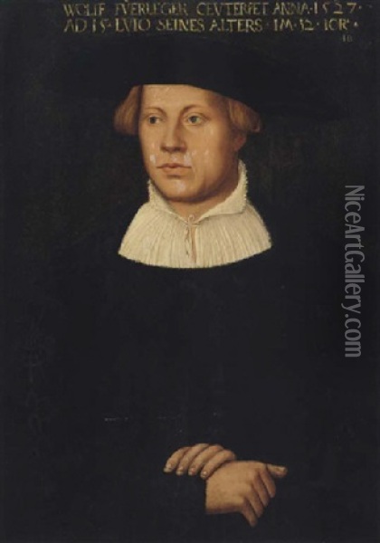 Portrait Of Wolff Fuerleger Wearing An Embroidered Black Coat Oil Painting - Hans Brosamer
