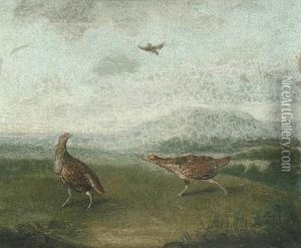 Partridge In A Landscape Oil Painting - Stephen Elmer