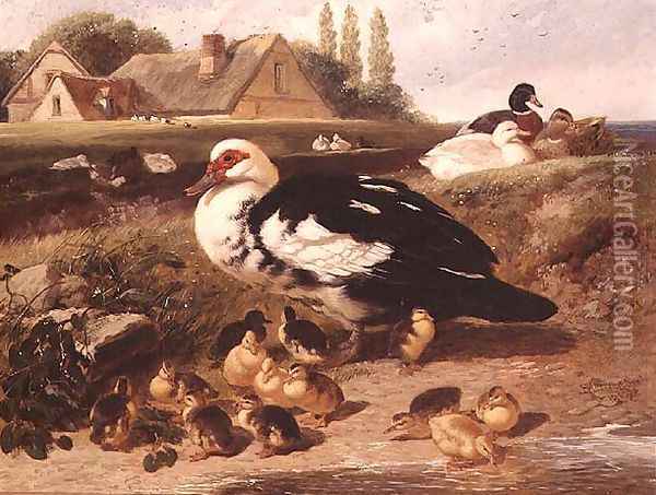 Ducks and Ducklings Oil Painting - John Frederick Herring Snr