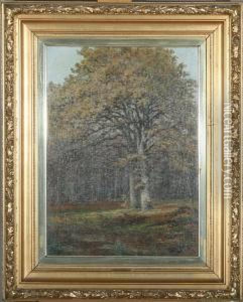 A Forest With Large Oak Trees Oil Painting - Christian Berthelsen