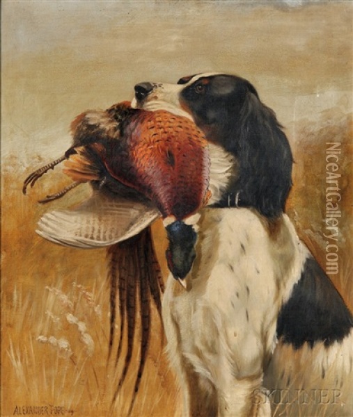 Setter With Pheasant Oil Painting - Alexander Pope