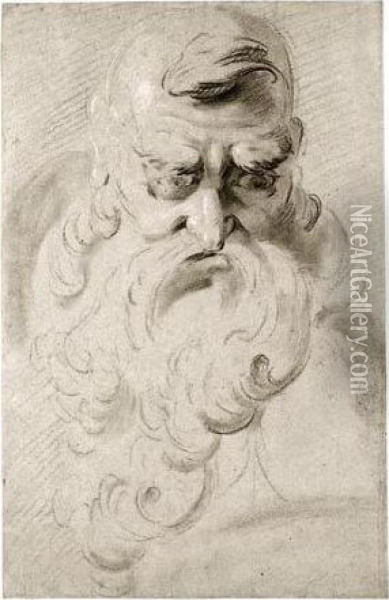 A Grotesque Head Of A Man With A Long Beard Oil Painting - Giuseppe Bernardino Bison