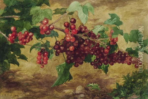 Currants Oil Painting - John Henry Hill