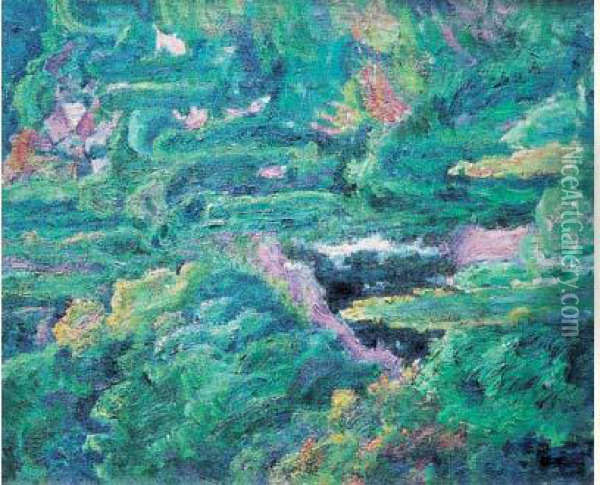 Ravin Dans La Montagne Oil Painting - David O. Widhopff