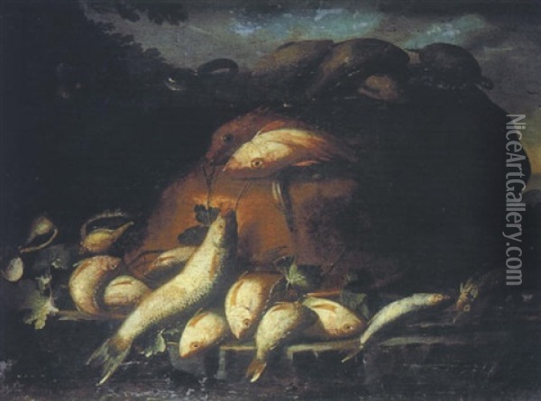 Nature Morte Aux Poissons Avec Une Tortue Oil Painting - Giuseppe Recco