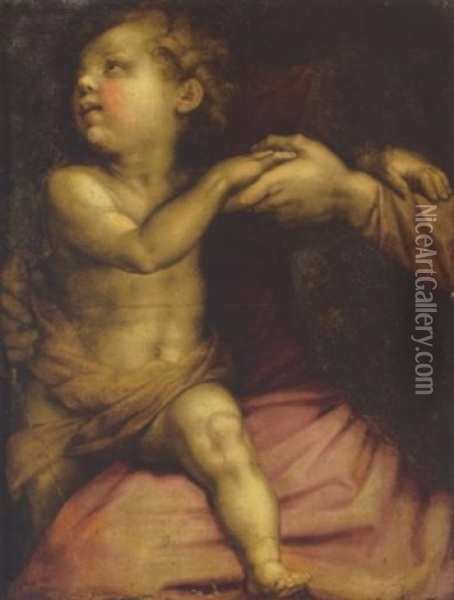 The Christ Child Oil Painting - Andrea Del Sarto