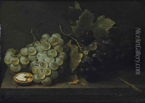 White And Red Grapes With An Open Walnut On A Stone Ledge Oil Painting - Jacob Fopsen van Es