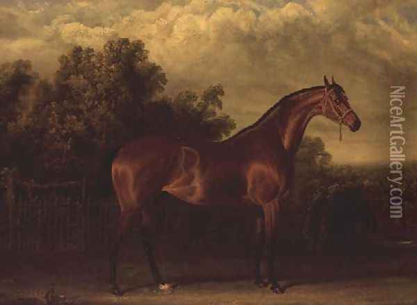 Negotiator' a Bay Colt in a Wooded landscape Oil Painting - John Frederick Herring Snr