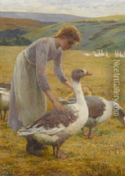 The Goose Girl Oil Painting - Maria D. Webb Robinson