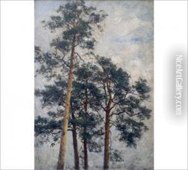 Pine Trees Oil Painting - Berndt Adolf Lindholm