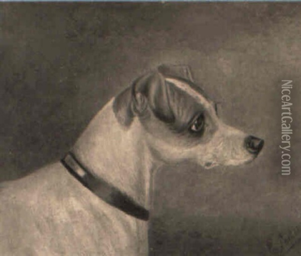 Study Of A Jack Russell Terrier Oil Painting - Edwin (of Bath) Loder