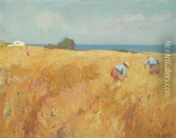 In The Field Oil Painting - Mihalis Economou