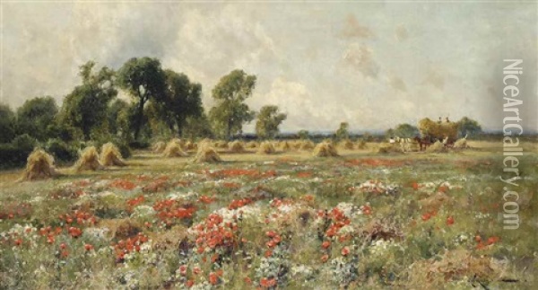 Poppies In Bloom Oil Painting - Arthur William Redgate